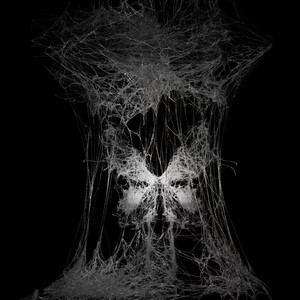 有些牢笼是自己给自己的