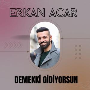 Demekki Gidiyorsun