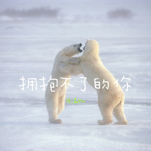 拥抱不了的你