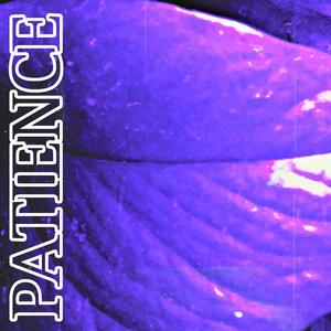 The Alturnate (Slowed Remix)