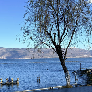 你的名字是我喝醉后才敢喊出秘密