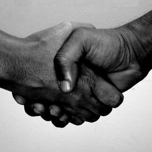 Não Vou Me Indispor