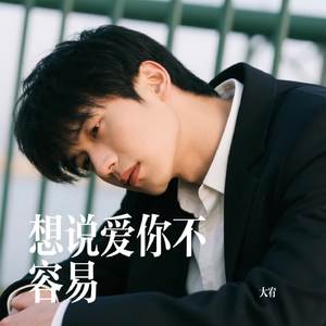 想说爱你不容易
