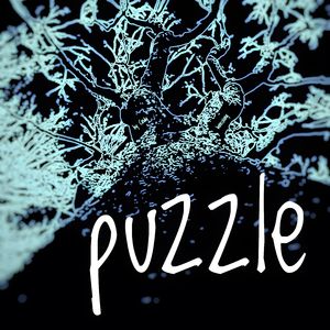 PUZZLE（谜题）