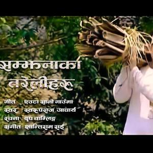 Euta Sano Gauu maa (feat. Swaroop Raj Acharya)