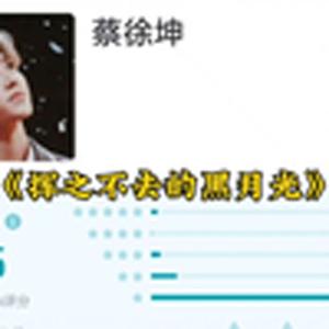 大型纪录片《挥之不去的黑月光》