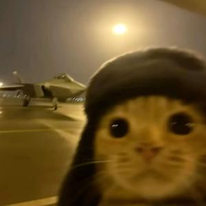 印度神曲(阿k苦力)