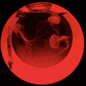 不需要你的了解