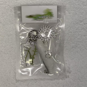 刻在我心底的名字（cover 卢广仲)