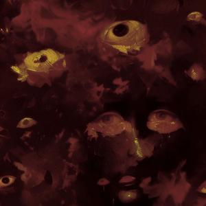 Livor mortis (Instrumental)