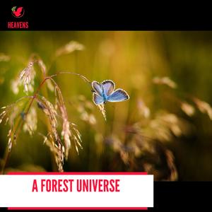 Owl Flies in Evening Sky