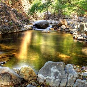 坚定的自我尊重