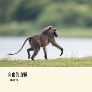 自由的山魈