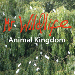 The Garden will grow