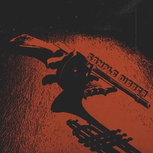 Omicidio Senza Testimoni