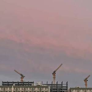 人潮中我向你逆行奔赴