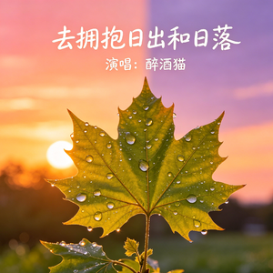 去拥抱日出和日落