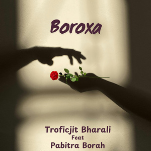 Boroxa