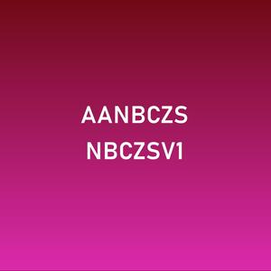 AA.NBCZS[XIII], Vol. I
