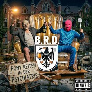 Ponyreiten in der Psychatrie