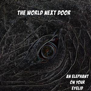 An Elephant on Your Eyelid