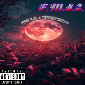 NOTHIN 2 SAY/CANT STAY