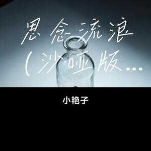 思念流浪 (小艳子 Remix)