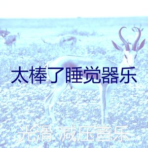 诗意的平静的节奏