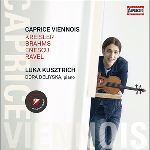 Violin Sonata No. 3 in A Minor, Op. 25, "Dans le caractere populaire roumain":III. Allegro con brio, ma non troppo mosso