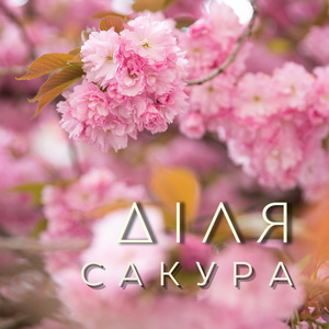 МАГНОЛІЯ