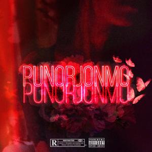 punorjonmo