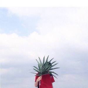 被风吹过的夏天