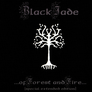 In Nîn i Turmagwenn