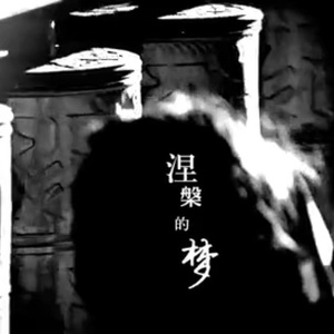 沙漠开出玫瑰花