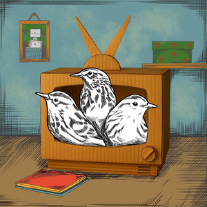 Televisor
