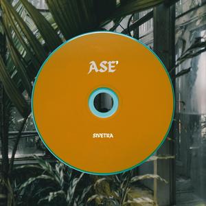ASE'