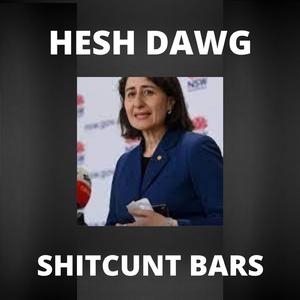 SHITCUNT BARS