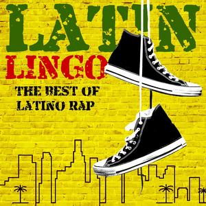 **** 4 the Low (feat. Self Provoked & La Gun Smoke)