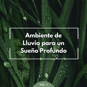 Ranas De Lluvia Negra