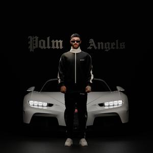 Palm Angels