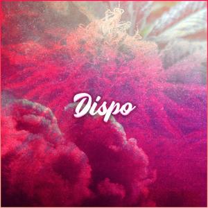 Dispo