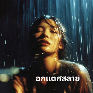 หัวใจฉันแตกเป็นเสี่ยง ๆ