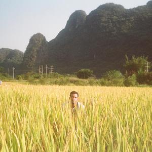 New Interface (Demo)