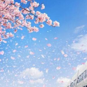 桜舞う春の日（改訂版）