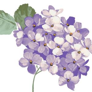 十几岁听的情歌（翻自 AY楊佬叁）