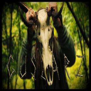 Guślarz (LEŚNY RAP)