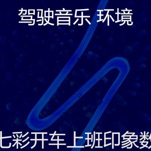 优美背景音乐器乐