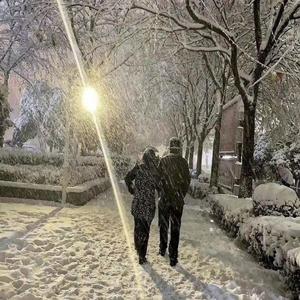 总有一天你会出现在我身边