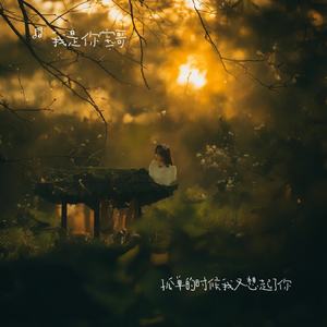 孤单的时候我又想起了你