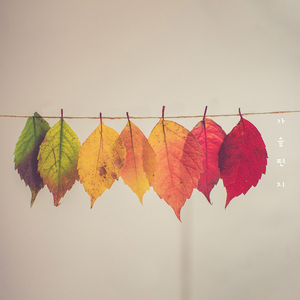 가을 편지 (Vocal by 영진)